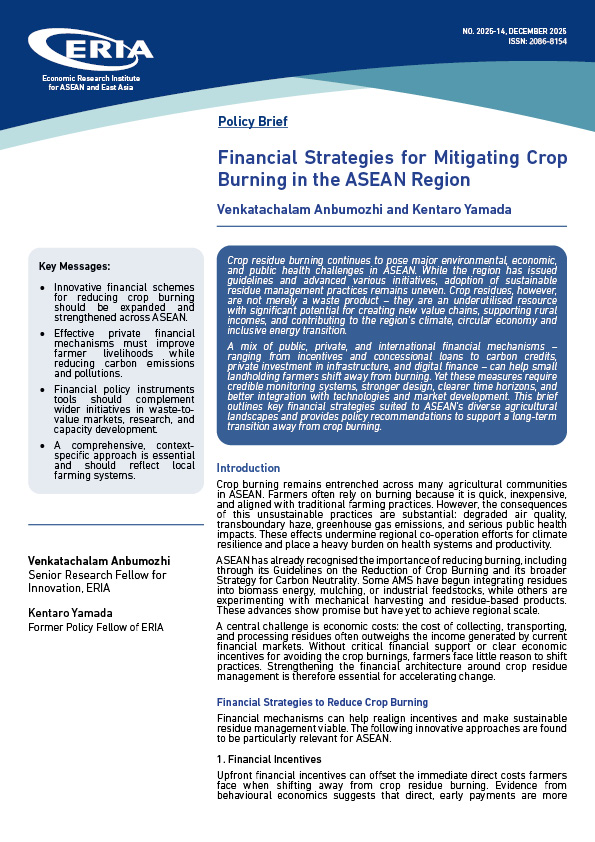 Financial Strategies for Mitigating Crop Burning in the ASEAN Region