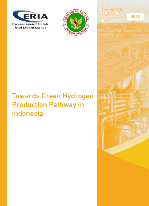 Towards Green Hydrogen Production Pathway in Indonesia